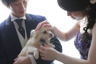 ファミリーフォト 