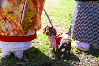 大切な家族と一緒に