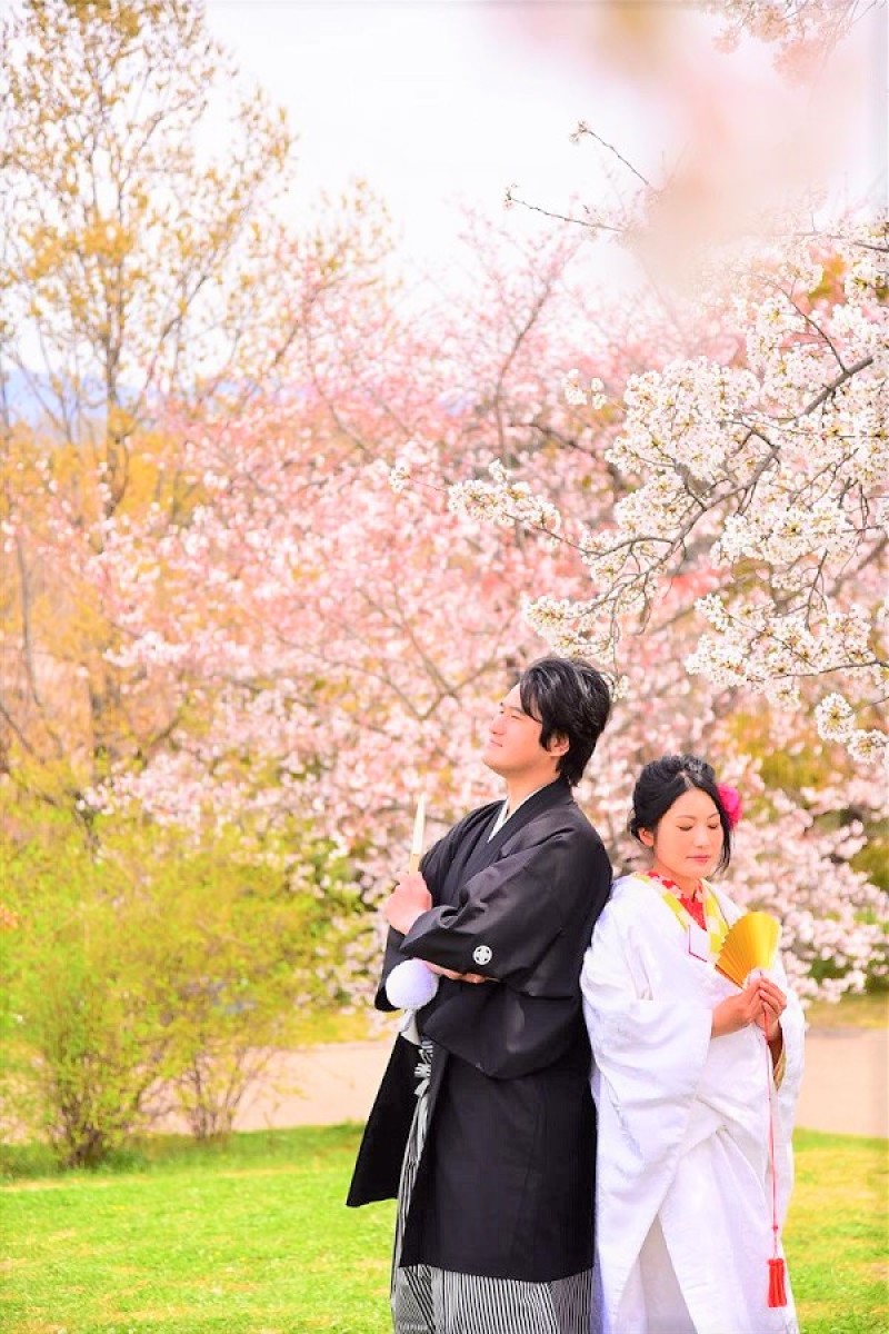 桜ロケーション