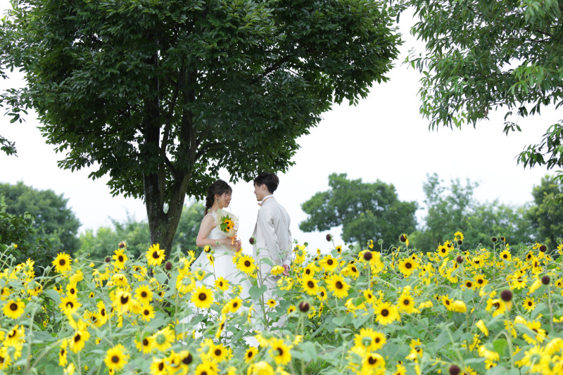 花言葉って本数や品種で変わるって知ってましたか？