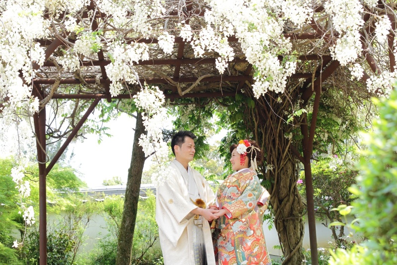 藤のなる屋根で、、、