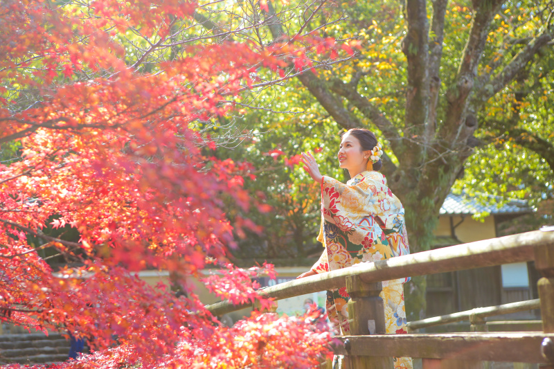 紅葉にうっとり