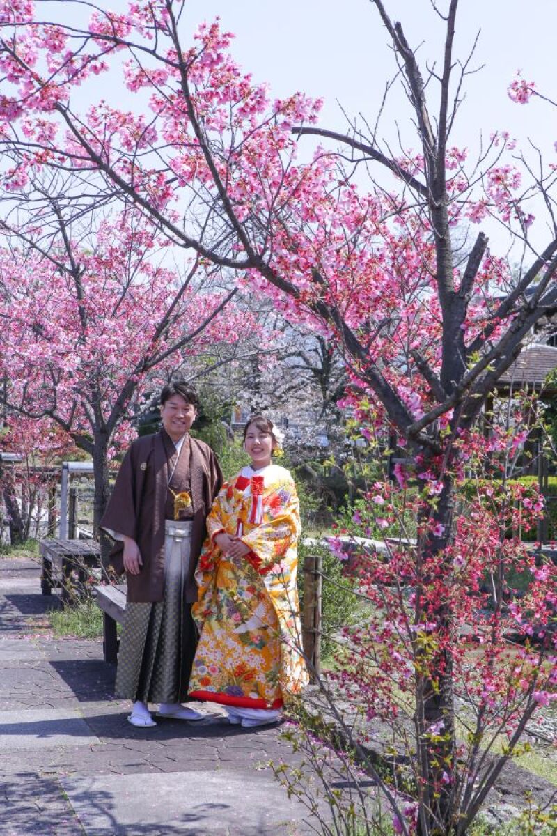 満開の花の中でロケスタート