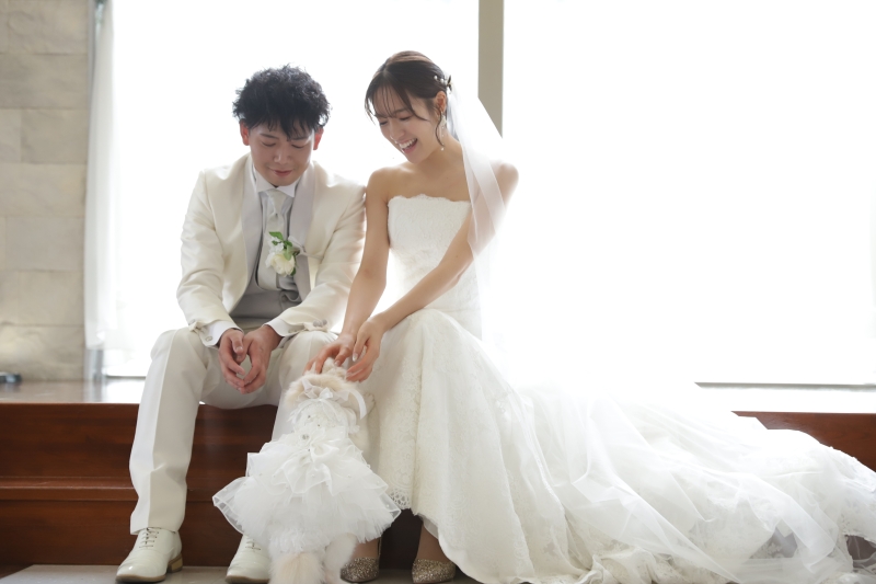 ペットと一緒にフォトウエディングプラン【全データ】