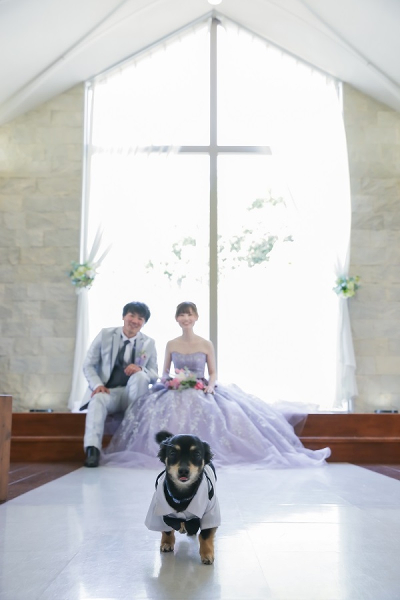 CLAIRE奈良店(チャペルクレール)_ペットと一緒に撮影できる