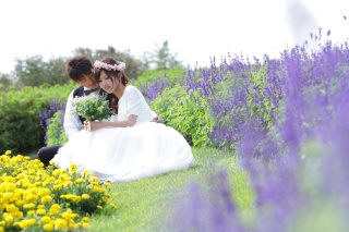 馬見丘陵公園申請料金