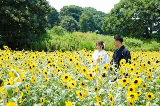 CLAIRE奈良店（チャペルクレール）_馬見丘陵公園（ロケーション）