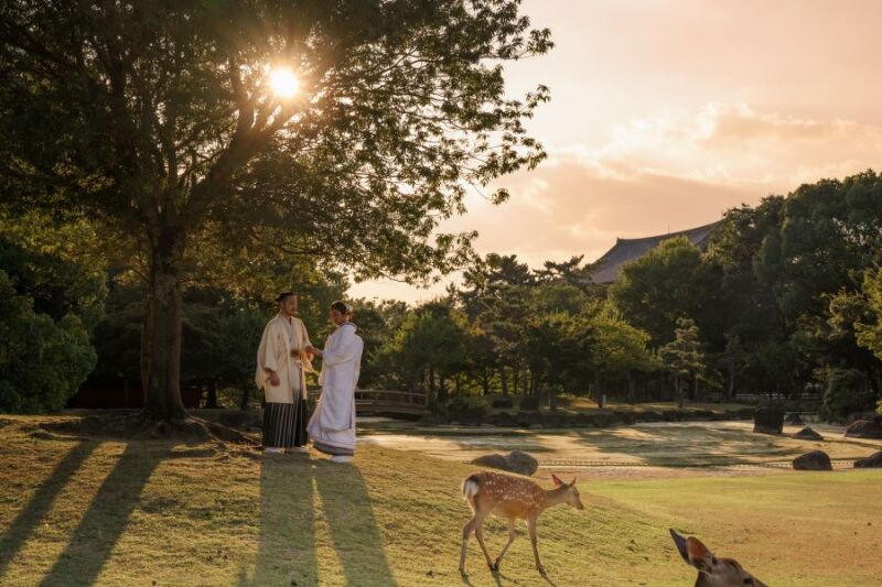 ２店舗撮影【奈良公園×チャペル】特別プラン♪