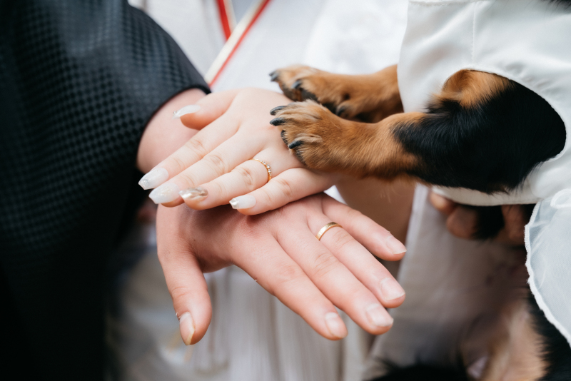 お手元ショット❤︎