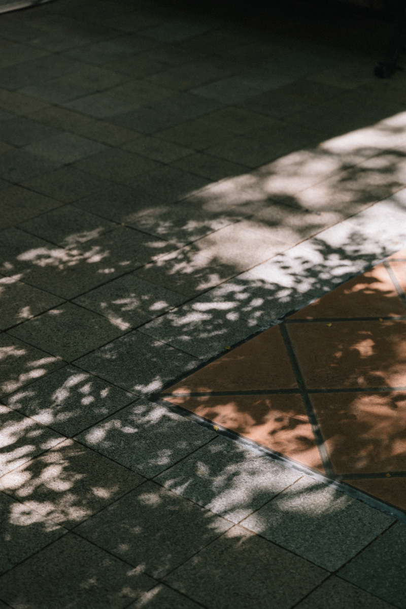 カメラマンの思い