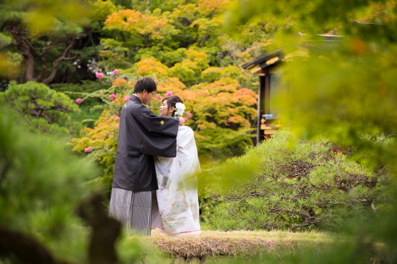 少し色づき始めた木々を背景に