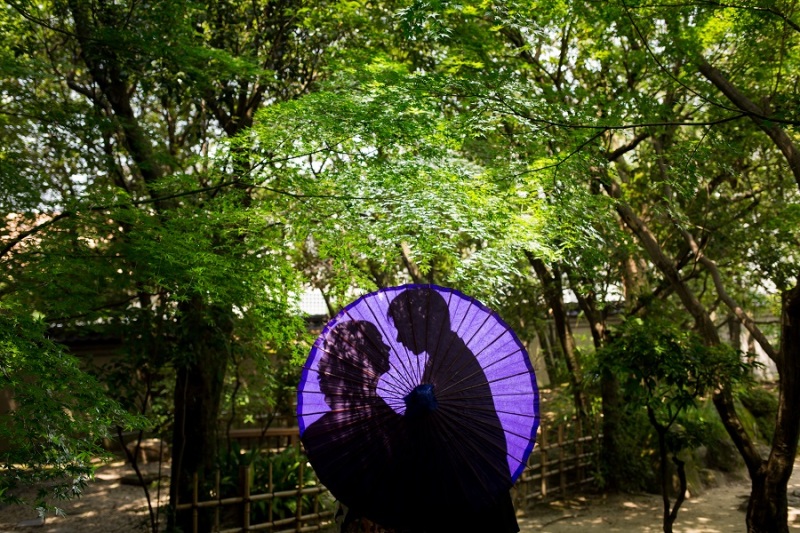 木漏れ日の中で