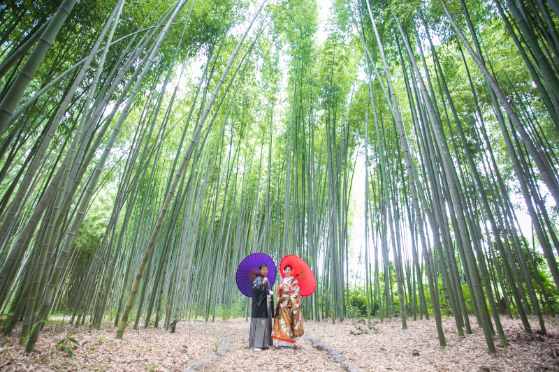 場所を竹林に移して