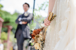 【初夏】爽やかな陽