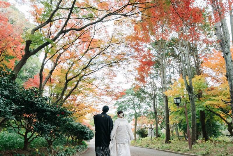 グッゲンハイム&rArr;&rArr;