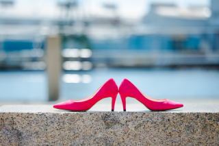 【夏】ビビットピンク