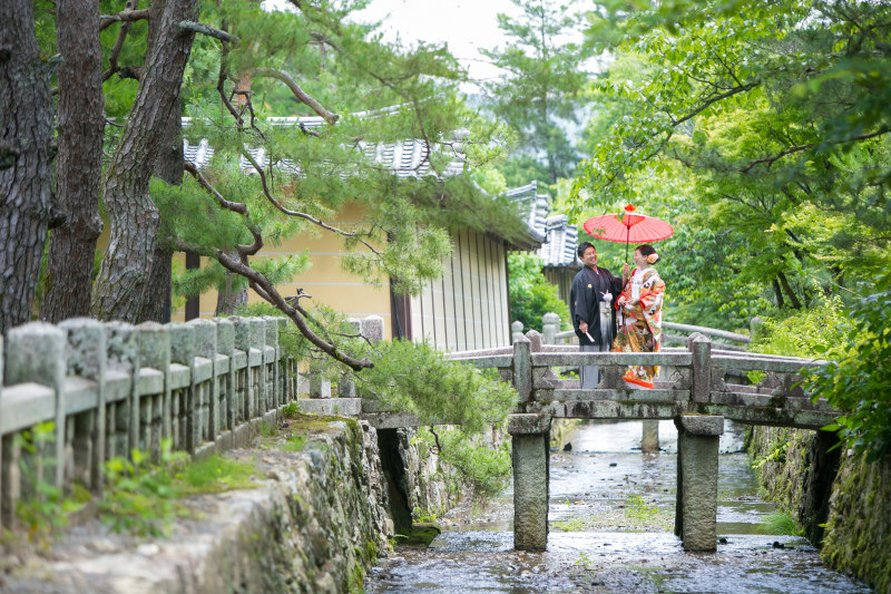 現実離れした雰囲気の中で…