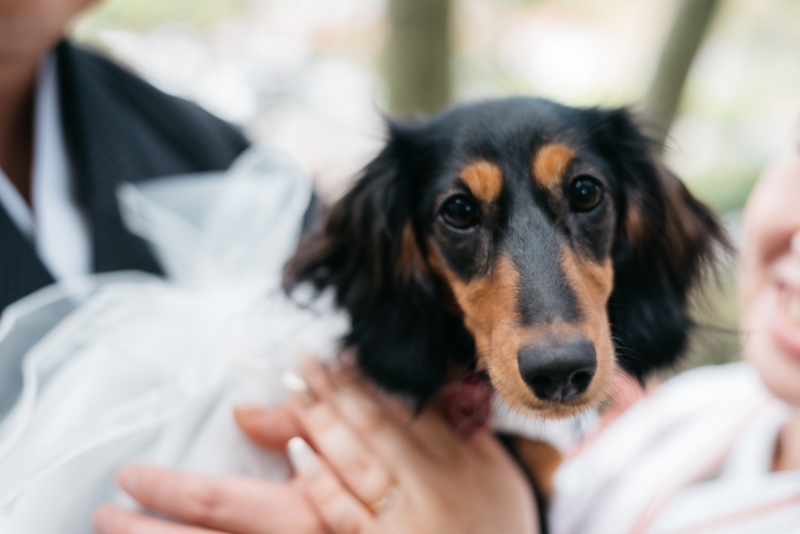 愛犬さんと共に♡