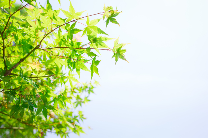 夏空の下での撮影スタート