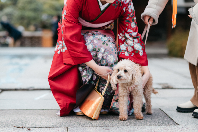 888Wedding_ペットと一緒に撮影できる