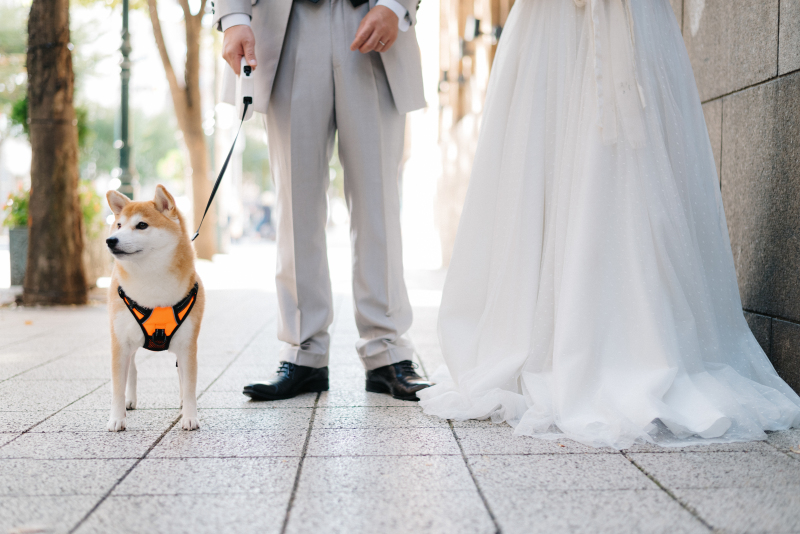 ドレス × タキシード × わんちゃん