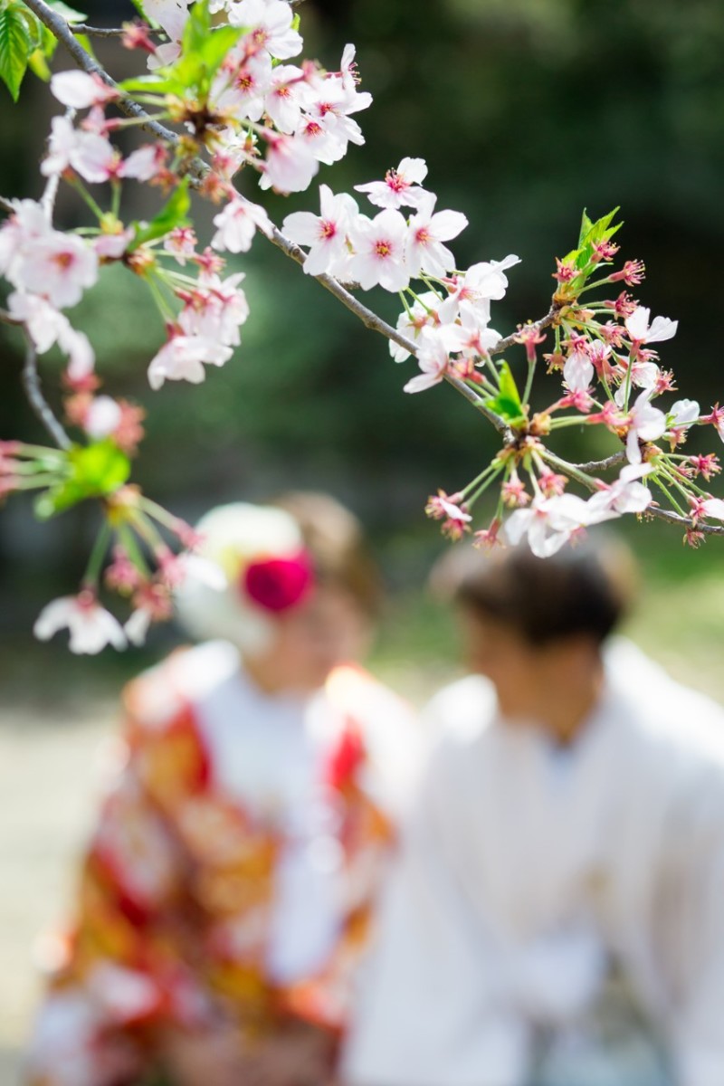 桜咲く京都でのロケのスタート