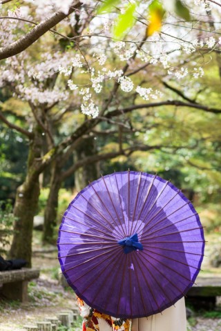 京都町屋カフェロケフォトプラン　