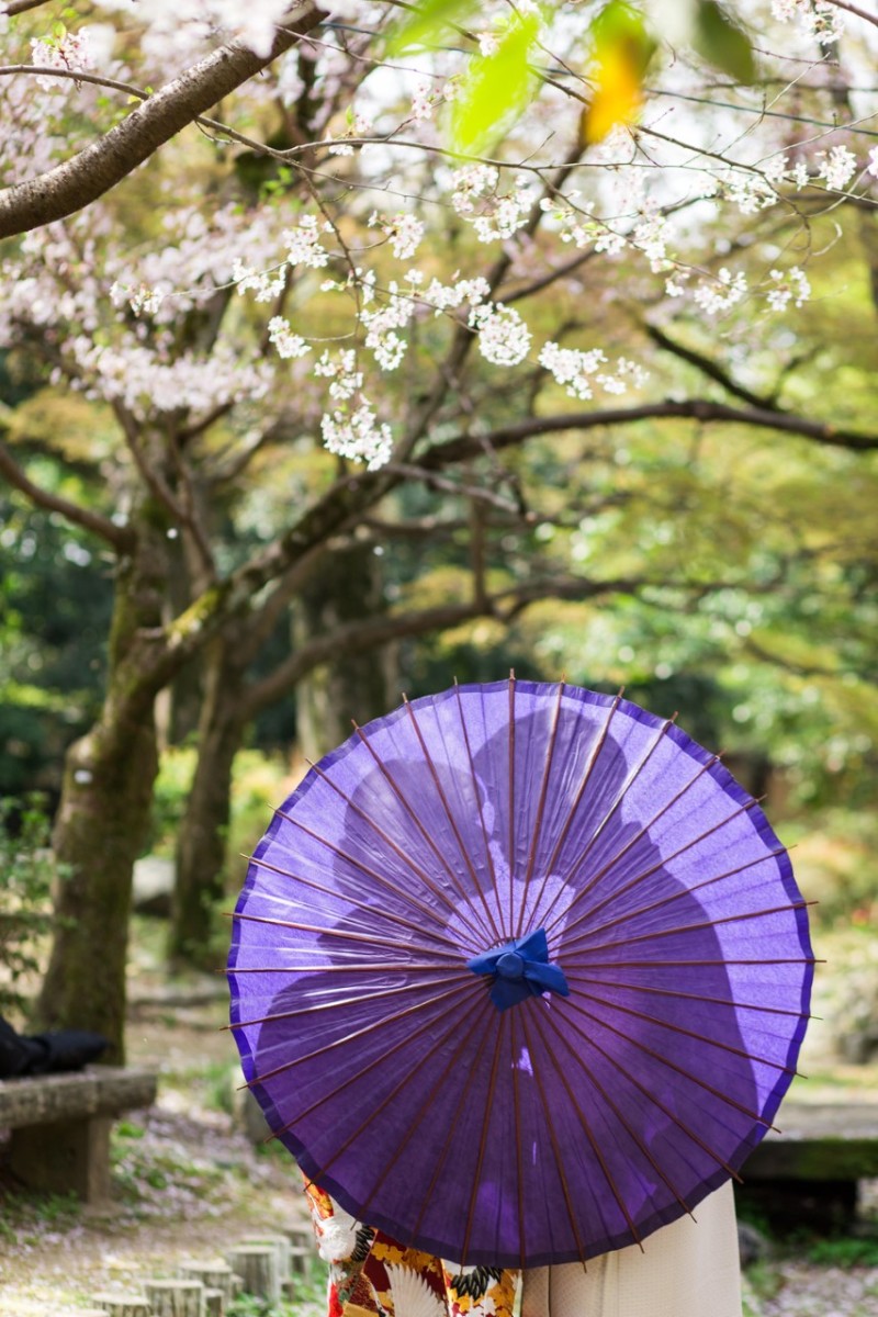 京都町屋カフェロケフォトプラン