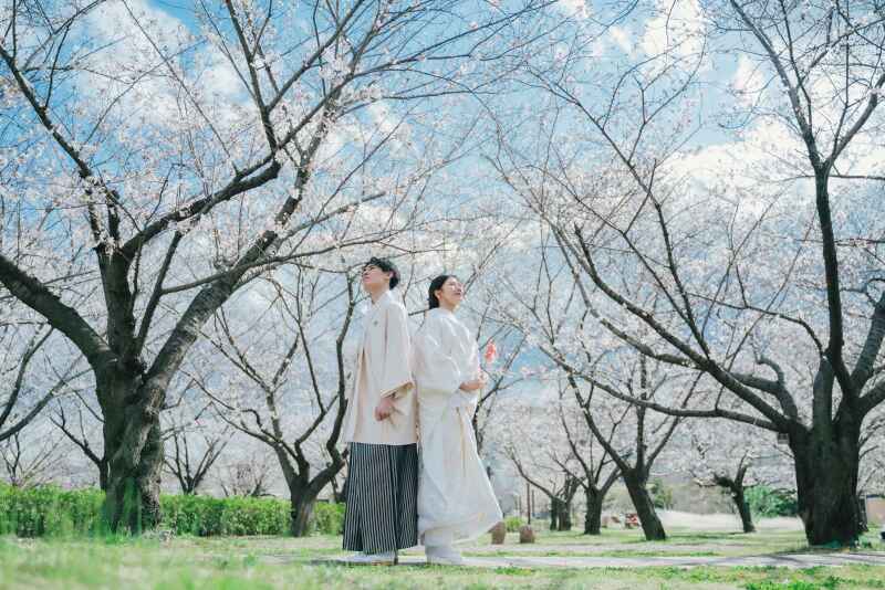 【￥164,200】桜早割 ❀和洋(夕方～Night) ロケ2ヵ所撮影プラン 2月末までのご契約でこの価格