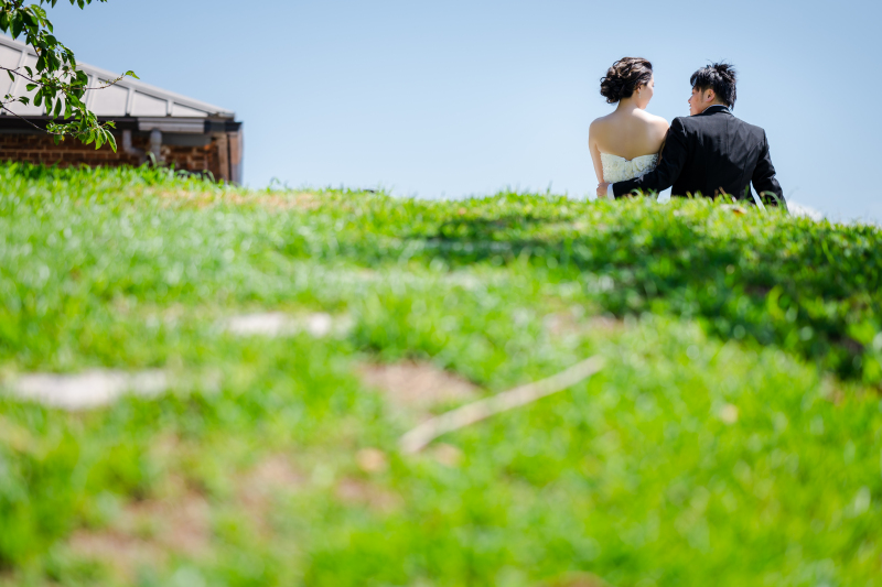 新【￥124,000】牧場プラン 3月末までのご契約でこの価格！