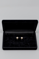 イヤリング【01】