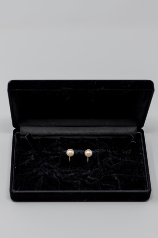 イヤリング【01】