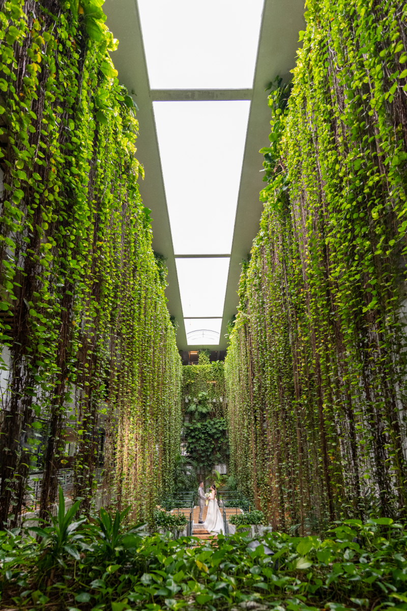 海だけでない　緑も素晴らしいロケーション　です