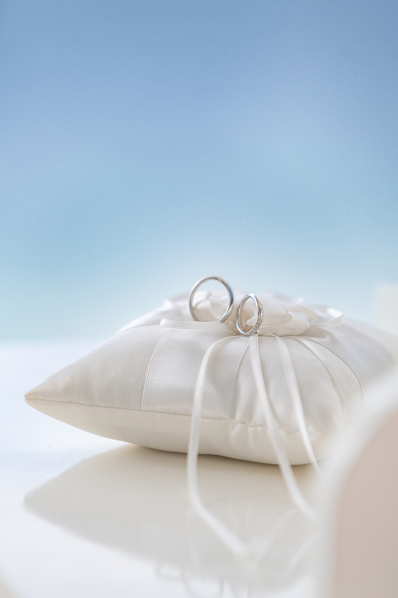 優しい光だワンッ