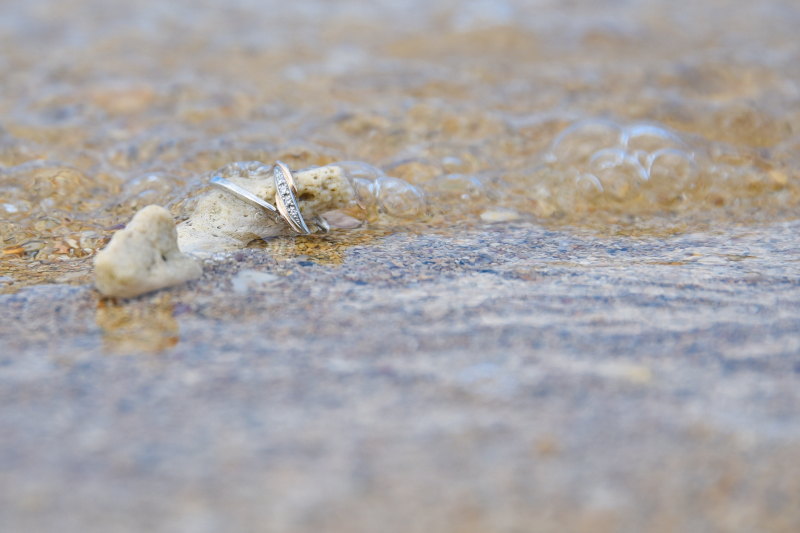 サンゴにリング