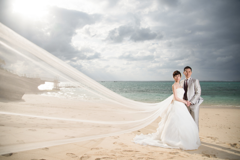 飛び立つ白鳥のように…