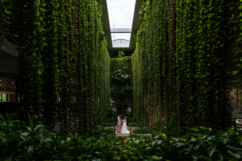 「美しい写真を永遠に　楽しいフォトウエディング」