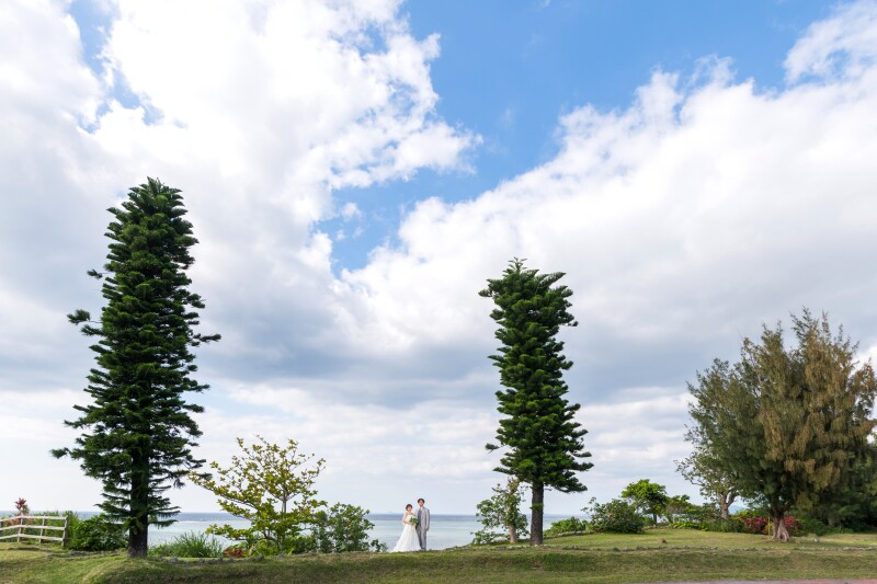 ガーデンフォト