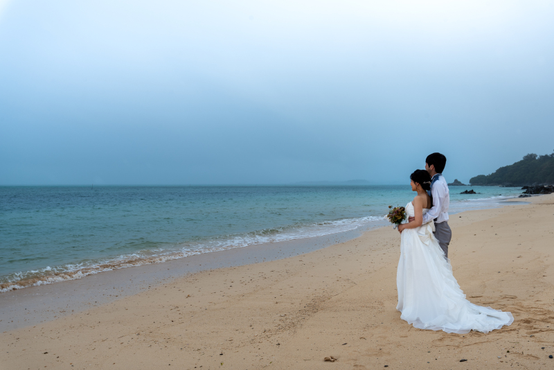 遠くを見つめて