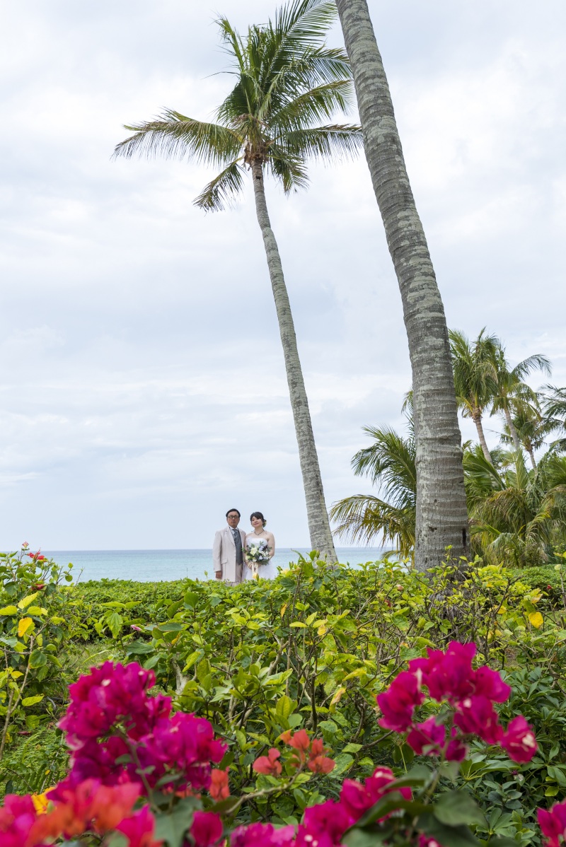 ガーデンフォト