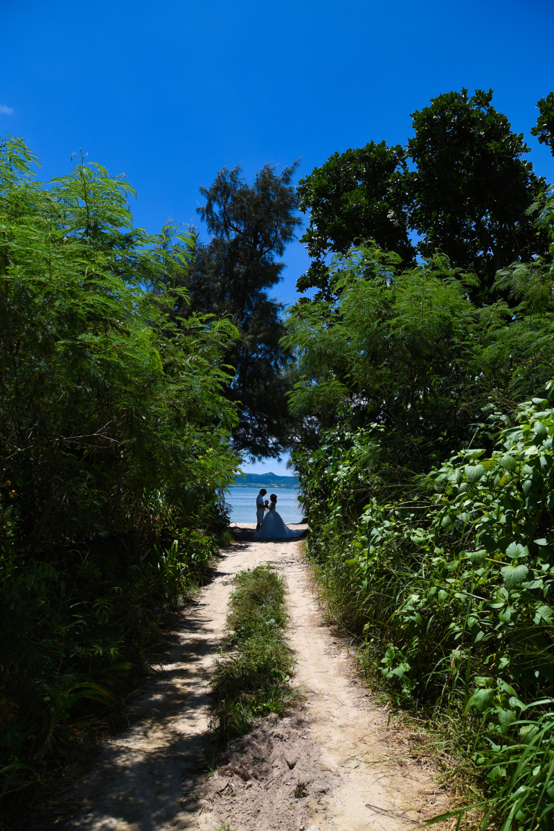 緑の小道の先に