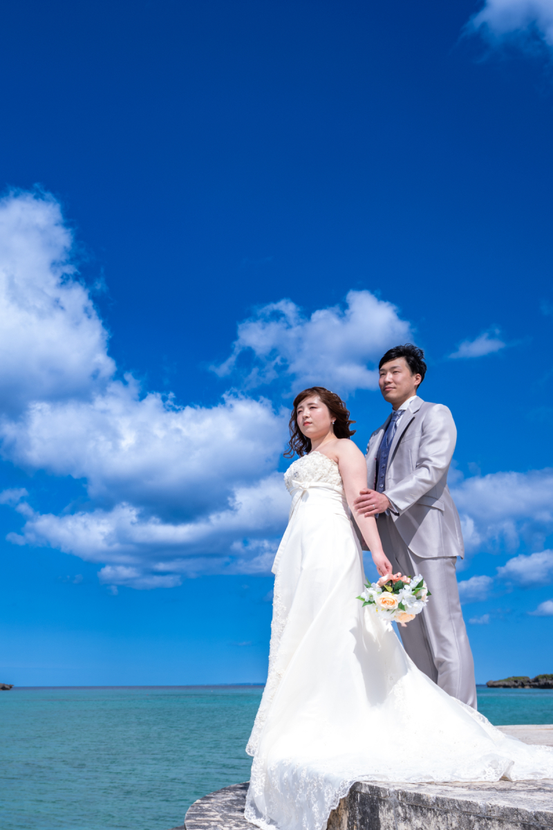 光は重要だワンッ