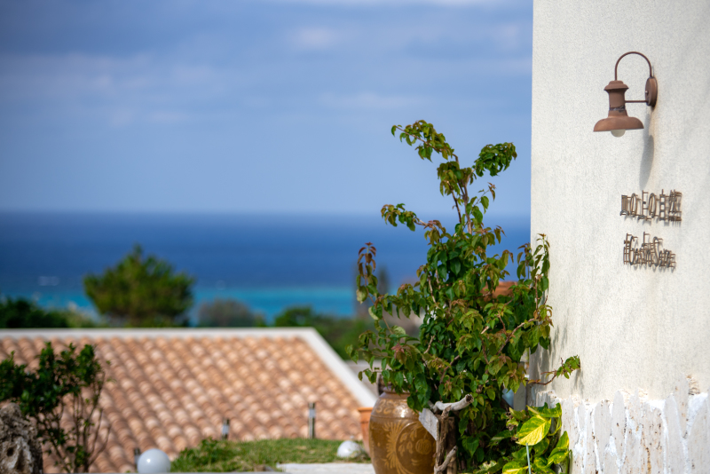 レストラン皿の上の自然からは、美ら海が一望！