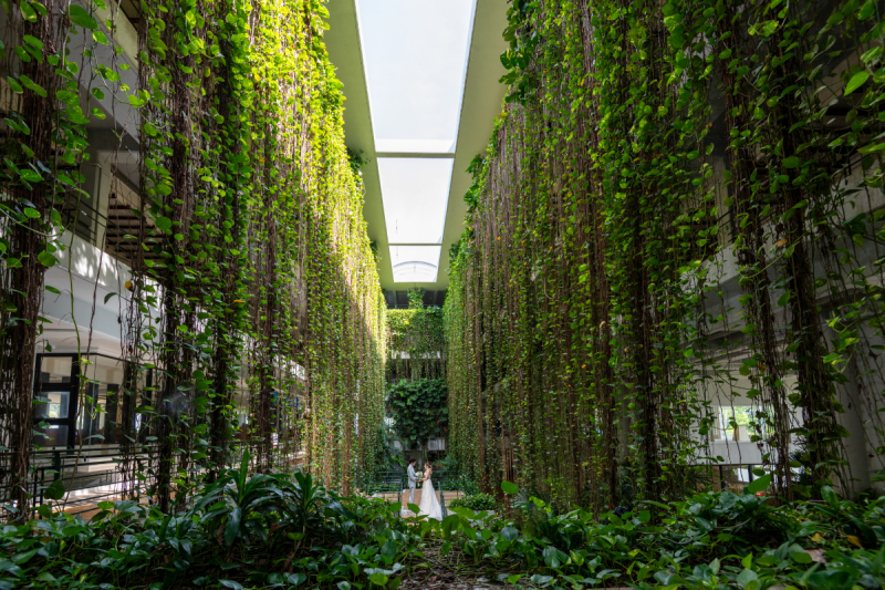 夏の撮影は実は大変だワンッ