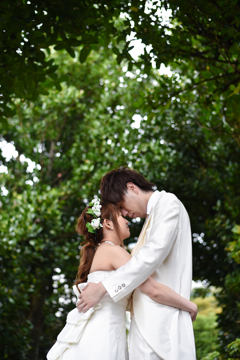 ふくぎ並木のもとで