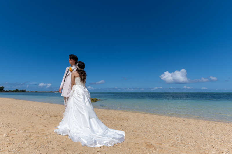 実は「日中シンクロ」がポイントだワンッ