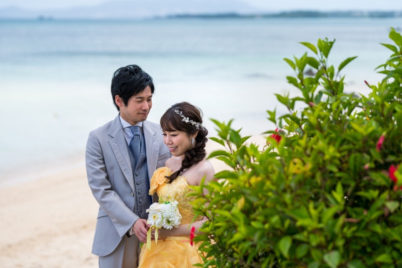 緑とハイビスカス