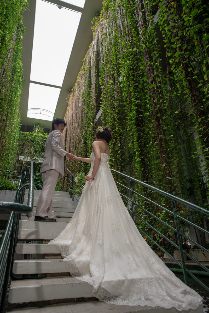 ロングトレーン