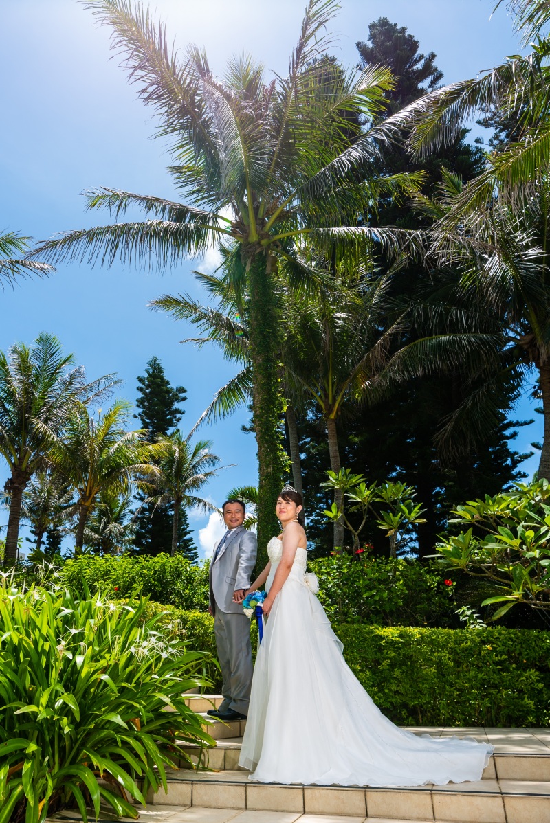 青空とヤシの木
