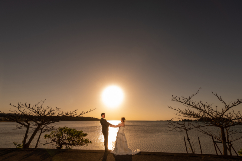 サンセット撮影は時間勝負だワンッ